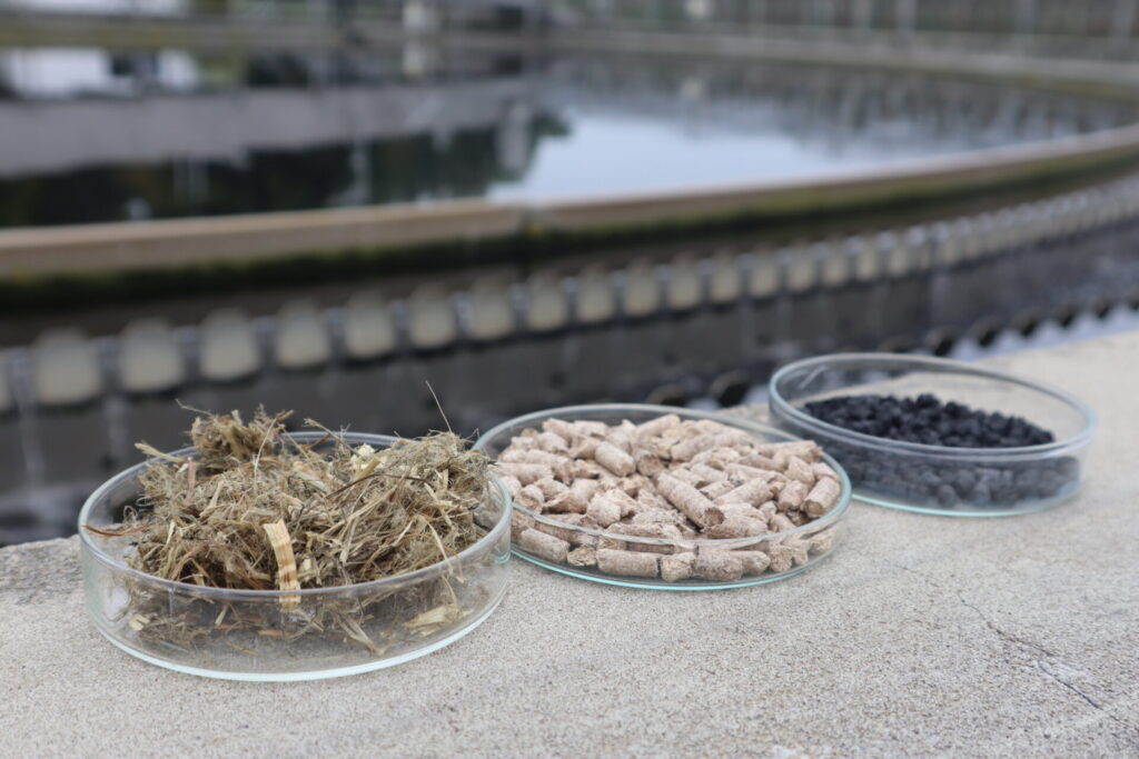 Drei Döschen mit unterschiedlichem Material stehen am Rand eines Klärbeckens.