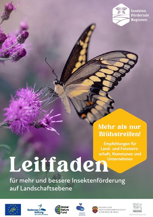 Zu sehen ist das Cover des Leitfadens des Projekts IFR. Darauf ist ein Schwalbenschwanz-Schmetterling abgebildet.