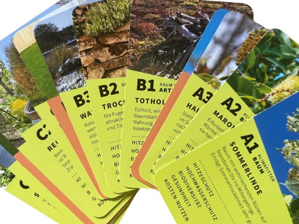 Das Bild zeigt die verschiedenen Karten, die in Kategorien und Farben eingeteilt sind. Bei einer Karte steht ein Schriftzug: A1 Klimafitter Baum, Sommerlinde.