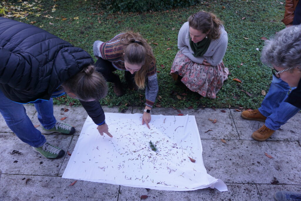In der Mitte liegt ein weißes Laken. Darauf sind kleine Bestandteile eines Busches. Referentin Laurence Neumann zeigt mit dem Finger auf die Bestandteile und erzählt dazu was. Drei Teilnehmer*innen beugen sich über das Laken.
