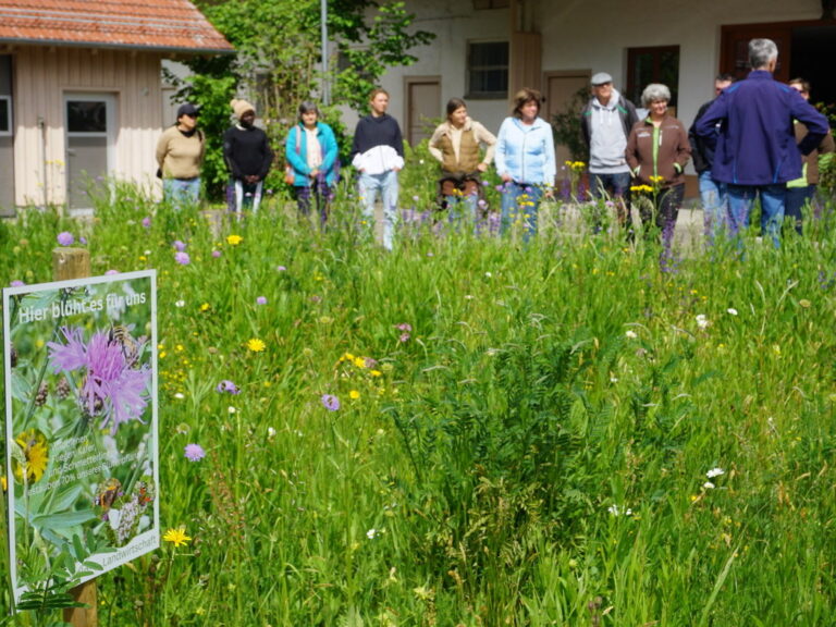 Blick auf eine blühende Wiese vor einer Gruppe von Menschen. Die Menschen sind unscharf zu sehen.