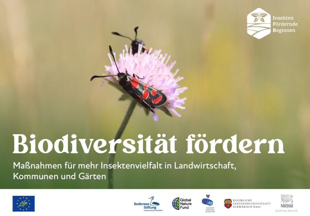 Im Blick ist ein Ausschnitt des Maßnahmenkatalogs vom EU-Life Projekt.