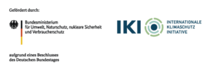 Internationale Klimaschutzinitiative der Bundesregierung