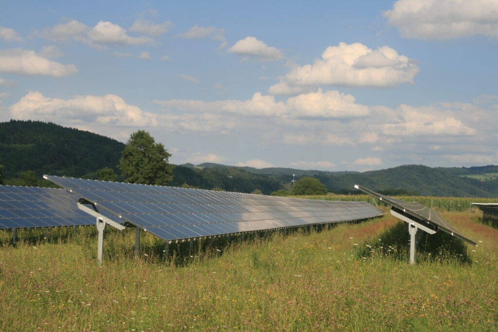 Blick auf eine Solaranlage in einer artenreichen Wiese.