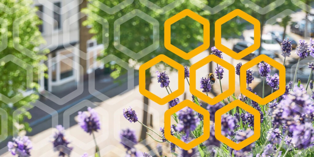 Symbolbild für das Projekt CircHive. Blick aus einem Balkon über Lavendelblüten hinunter auf den Straßenzug. Über dem Foto sind symbolisch Bienenwaben gelegt.