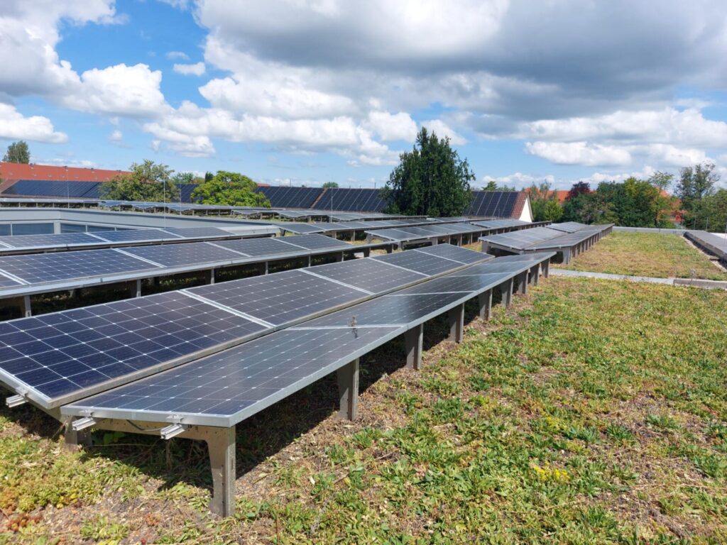 Blick auf die Schmetterlinsförmigen Module einer PV-Anlage auf einem Gründach.