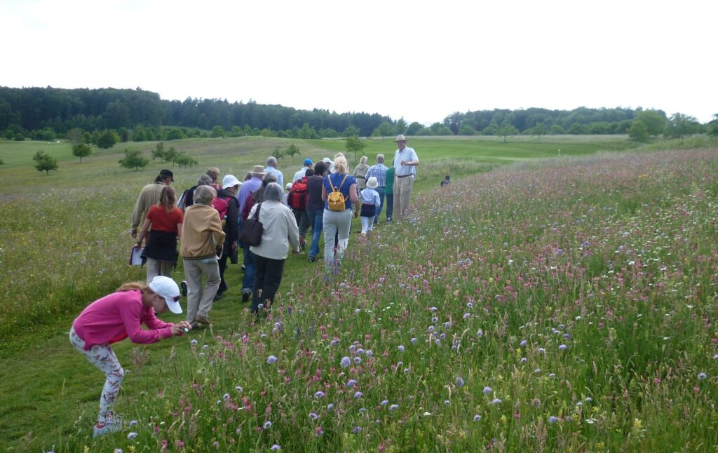 Blick auf eine leicht hügelige Landschaft. Im Vordergrund läuft eine Gruppe an einer artenreichen, blühenden Wiese vorbei. Ein Mädchen bückt sich, um ein Foto aufzunehmen.