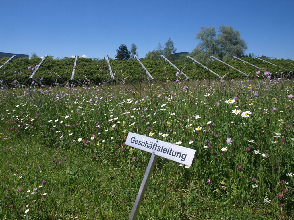 Blick auf eine bunt blühende Wiese. Davor steht schief ein Parkplatzreservierungsschild mit der Aufschrift: Geschäftsleitung