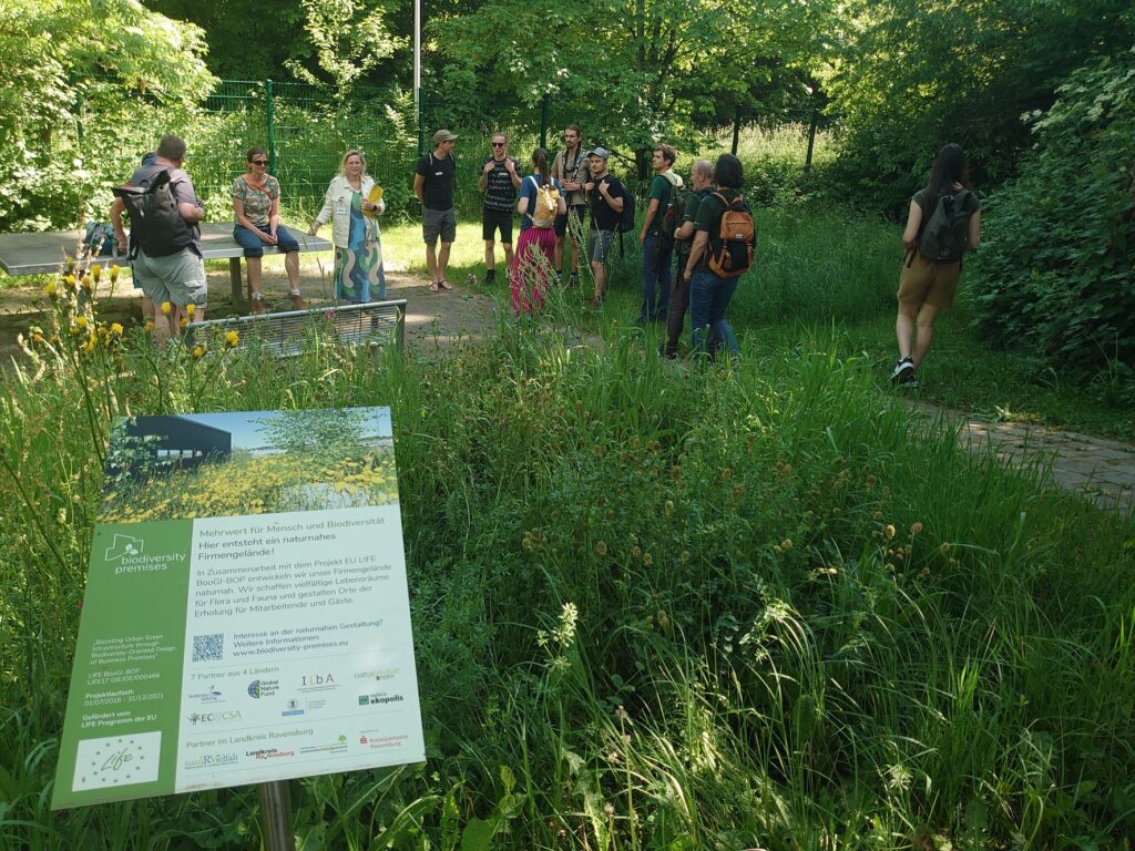 Eine Gruppe steht auf einem Weg, der von Wiesen, Büschen und Bäumen umgeben ist. Vorne links ist ein Infoschild zu sehen.