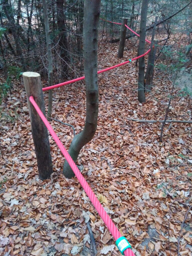 Durch einen Wald schlängelt sich ein rosafarbenes Seil, das an Holzpfählen befestigt ist.
