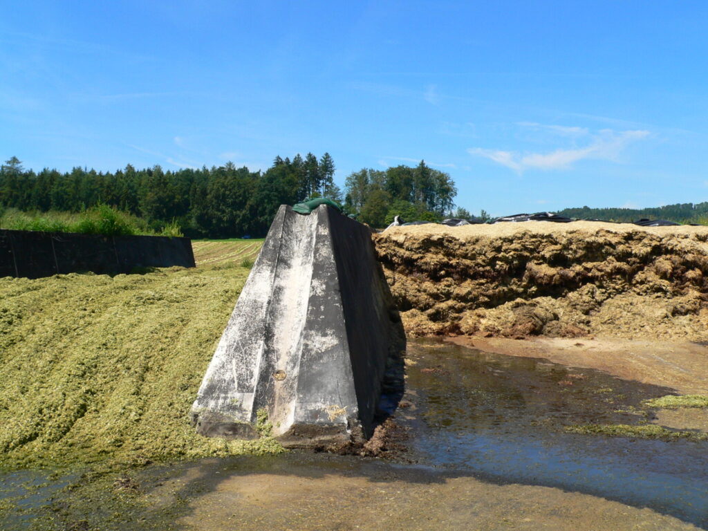 Blick auf ein Silage-Lager unter blauem Himmel in einer Landschaft mit Wald im Hintergrund.